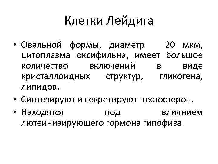 Клетки Лейдига • Овальной формы, диаметр – 20 мкм, цитоплазма оксифильна, имеет большое количество