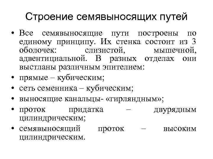 Строение семявыносящих путей • Все семявыносящие пути построены по единому принципу. Их стенка состоит