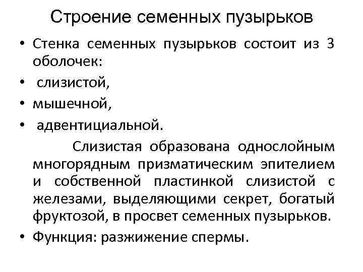 Строение семенных пузырьков • Стенка семенных пузырьков состоит из 3 оболочек: • слизистой, •