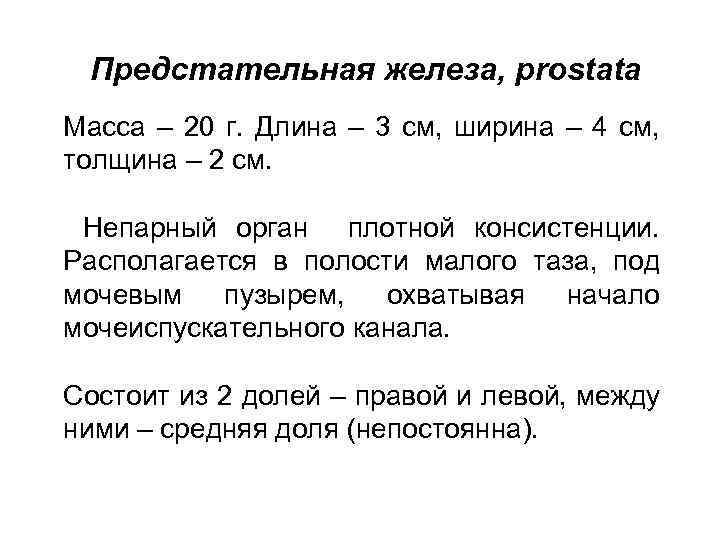 Предстательная железа, prostata Масса – 20 г. Длина – 3 см, ширина – 4