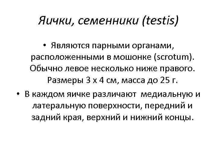 Яички, семенники (testis) • Являются парными органами, расположенными в мошонке (scrotum). Обычно левое несколько