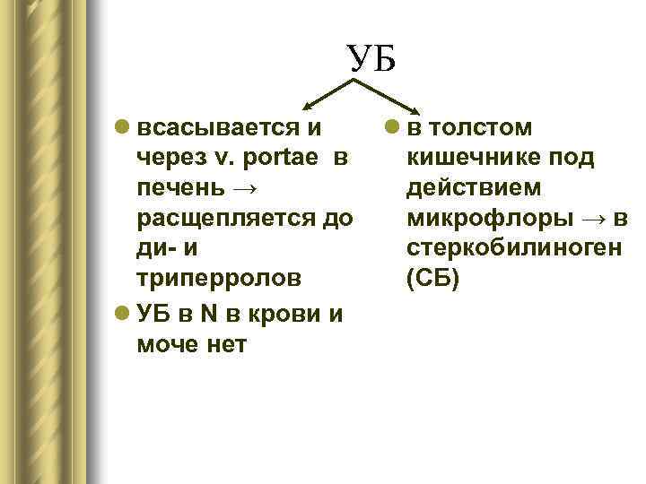 УБ l всасывается и через v. portae в печень → расщепляется до ди- и