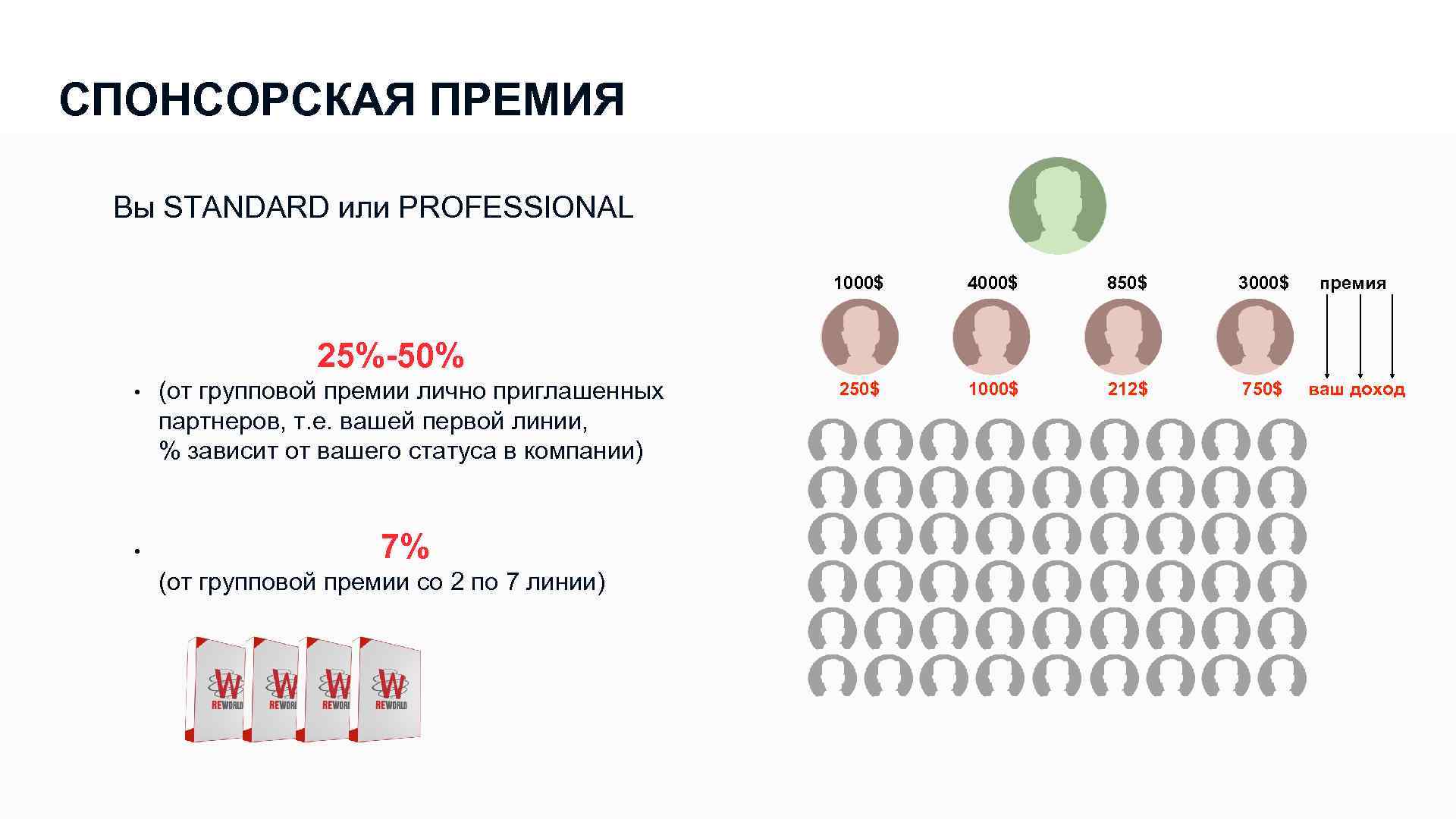СПОНСОРСКАЯ ПРЕМИЯ Вы STANDARD или PROFESSIONAL 1000$ 4000$ 850$ 3000$ премия 250$ 1000$ 212$