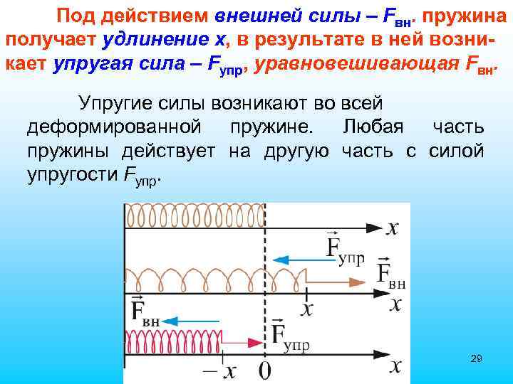 Под действием внешней силы – Fвн. пружина получает удлинение x, в результате в ней