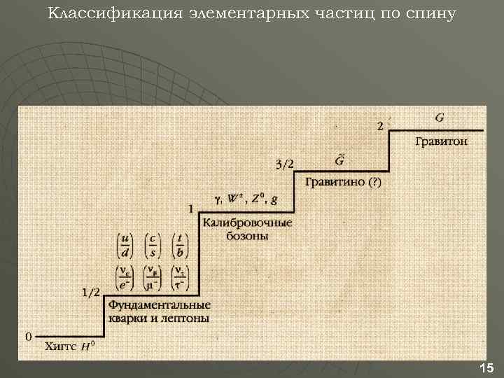 Классификация элементарных частиц по спину 15 