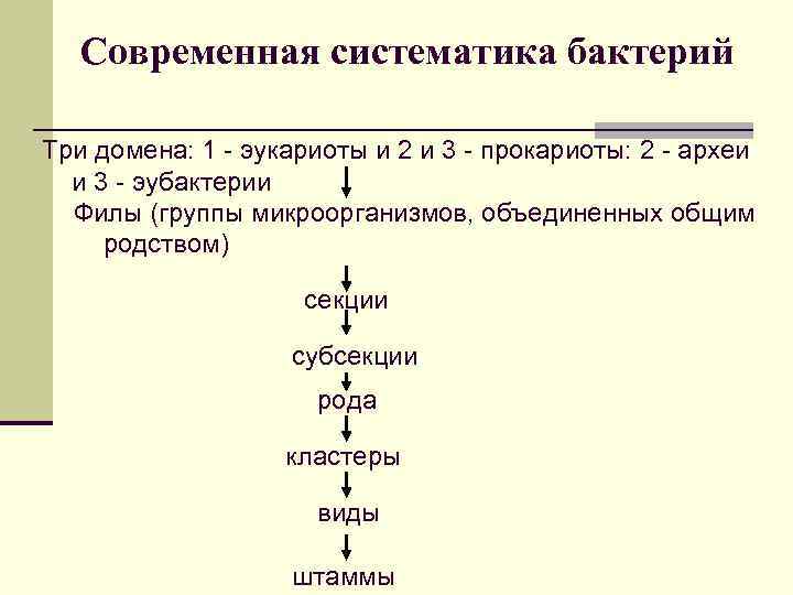 Современная систематика бактерий Три домена: 1 - эукариоты и 2 и 3 - прокариоты: