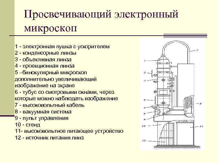 Просвечивающий электронный микроскоп 1 - электронная пушка с ускорителем 2 - конденсорные линзы 3