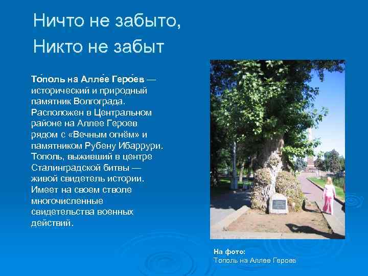 Ничто не забыто, Никто не забыт То поль на Алле е Геро ев —