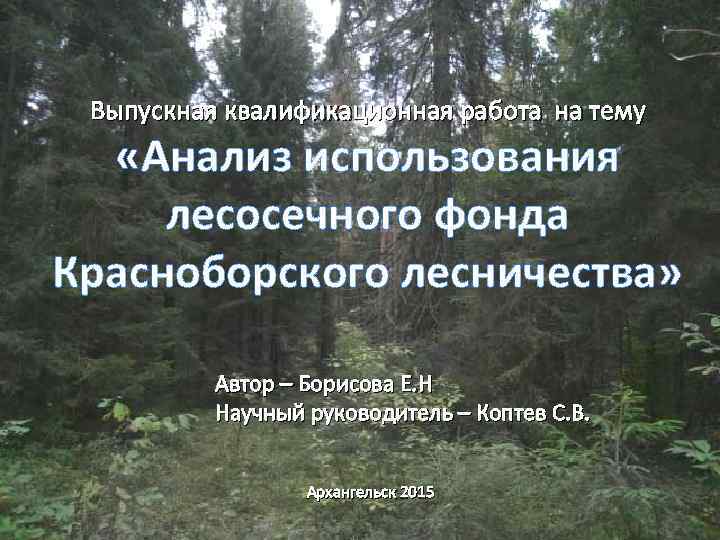 ВЫПУСКНАЯ КВАЛИФИКАЦИОННАЯ РАБОТА НА ТЕМУ Выпускная квалификационная работа на тему «Анализ использования лесосечного фонда