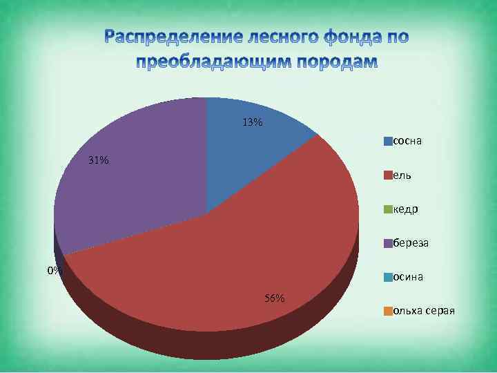 13% сосна 31% ель кедр береза 0% осина 56% ольха серая 