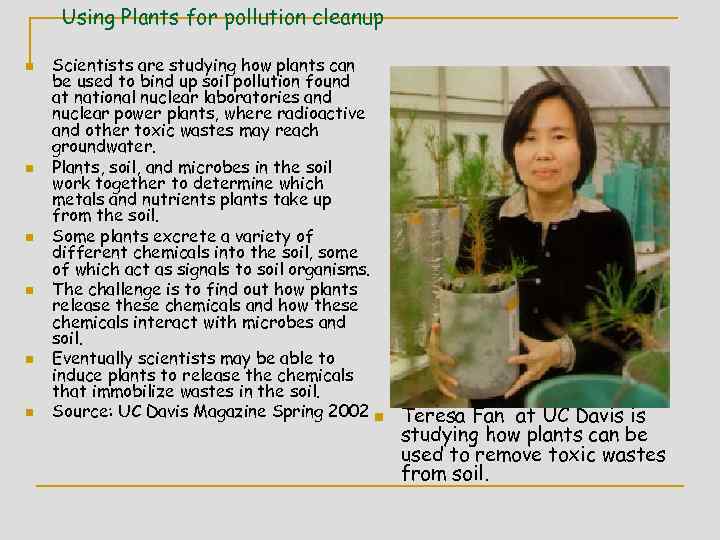 Using Plants for pollution cleanup n n n Scientists are studying how plants can