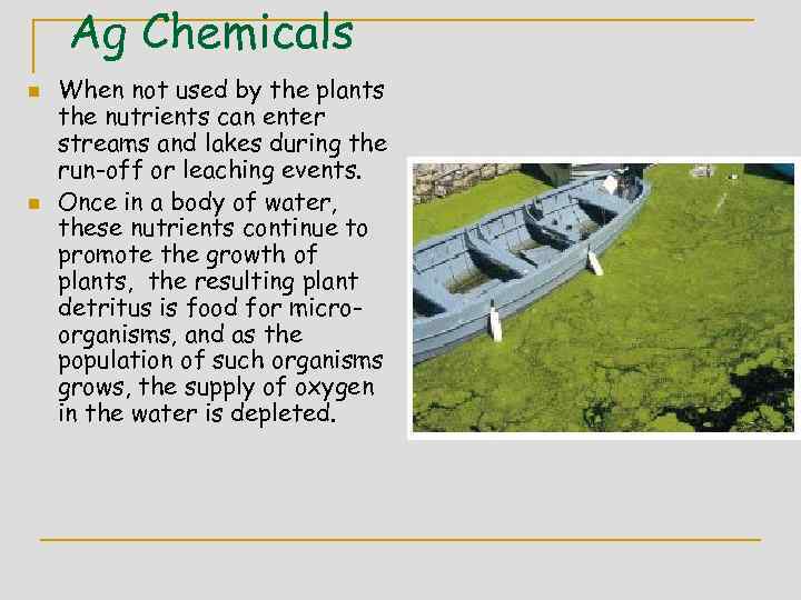 Ag Chemicals n n When not used by the plants the nutrients can enter