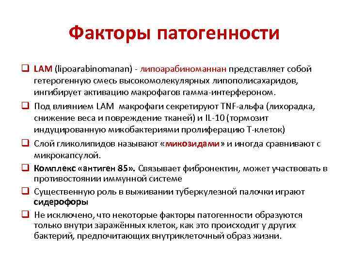 Факторы патогенности q LAM (lipoarabinomanan) липоарабиноманнан представляет собой гетерогенную смесь высокомолекулярных липополисахаридов, ингибирует активацию