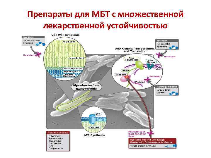 Препараты для МБТ с множественной лекарственной устойчивостью 