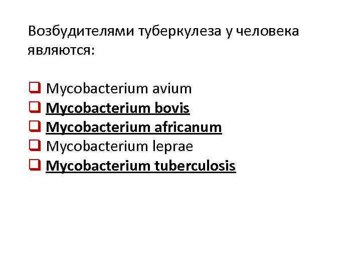 Возбудителями туберкулеза у человека являются: q Mycobacterium avium q Mycobacterium bovis q Mycobacterium africanum