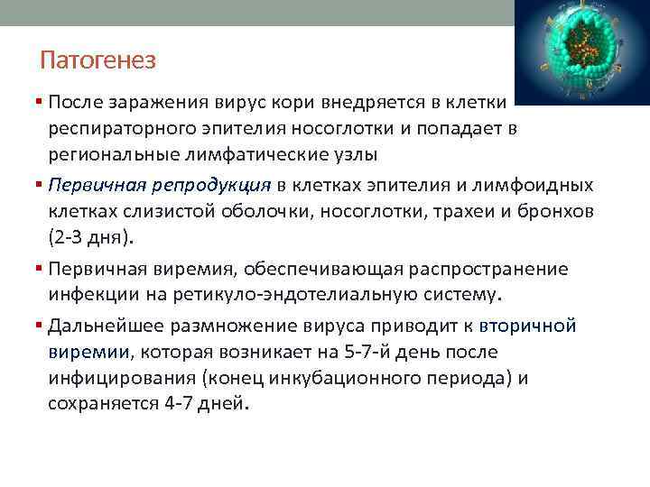 Патогенез § После заражения вирус кори внедряется в клетки респираторного эпителия носоглотки и попадает