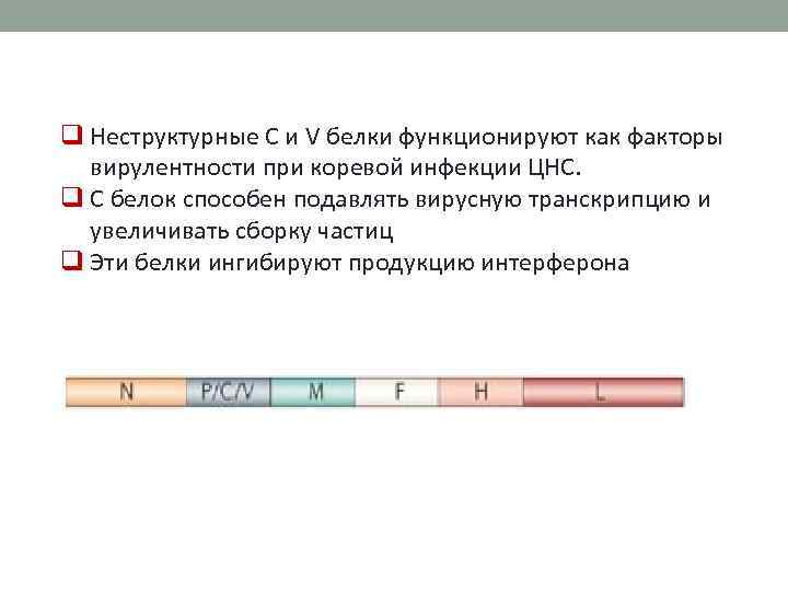 q Неструктурные C и V белки функционируют как факторы вирулентности при коревой инфекции ЦНС.