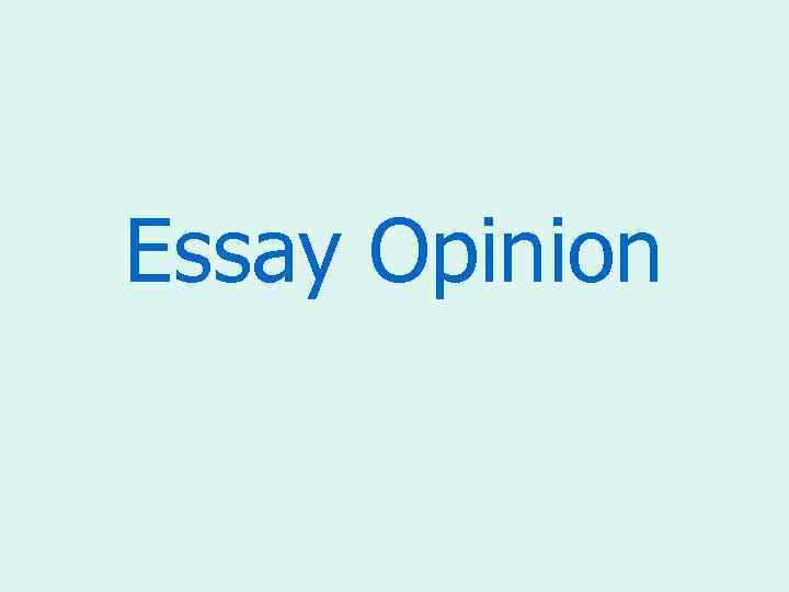 Essay Opinion 