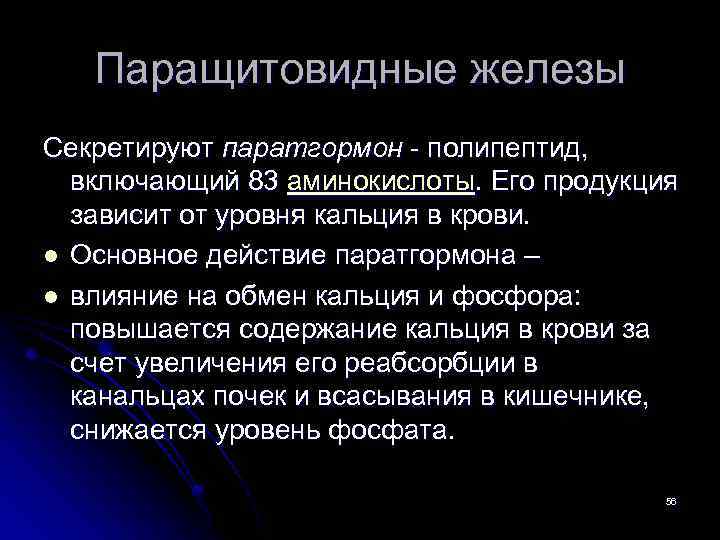Паращитовидные железы Cекретируют паратгормон - полипептид, включающий 83 аминокислоты. Его продукция зависит от уровня