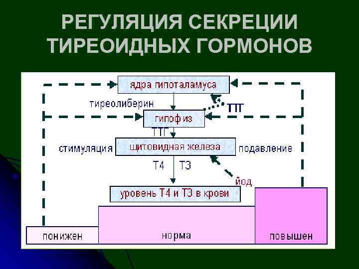 Регуляция секреции