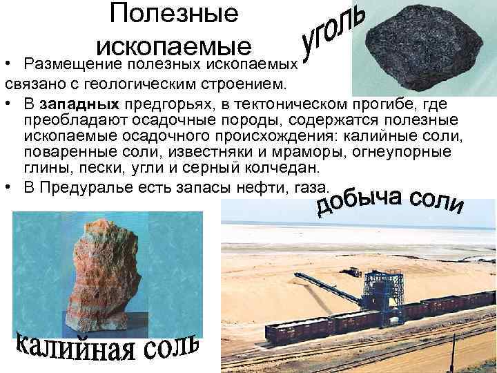 Полезные ископаемые • Размещение полезных ископаемых связано с геологическим строением. • В западных предгорьях,