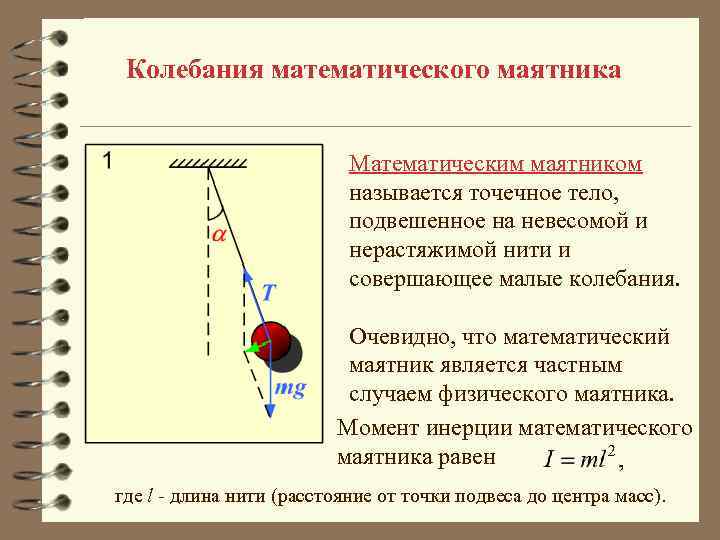 Колебания математического маятника Математическим маятником называется точечное тело, подвешенное на невесомой и нерастяжимой нити