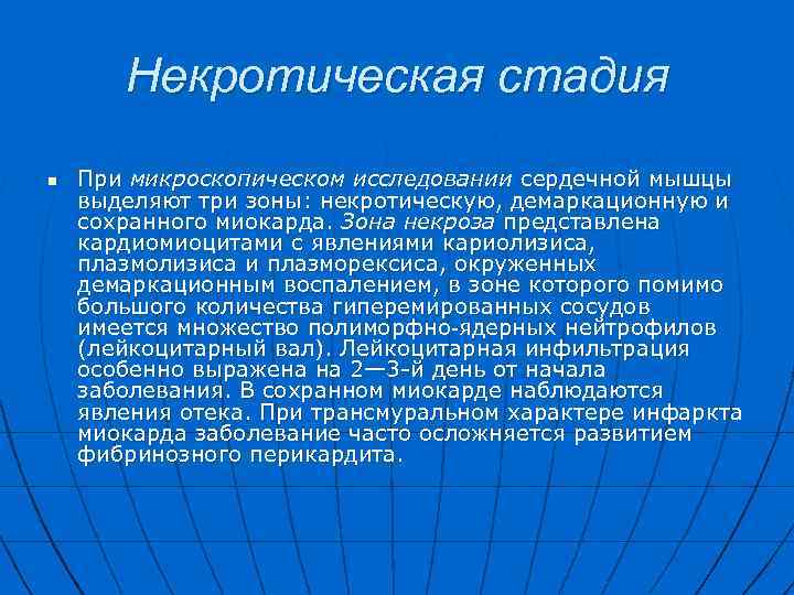 Некротическая стадия n При микроскопическом исследовании сердечной мышцы выделяют три зоны: некротическую, демаркационную и