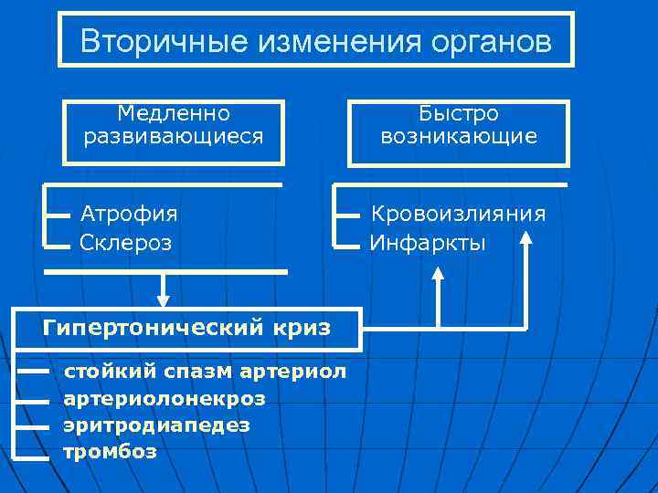 Вторичные изменения органов Медленно развивающиеся Быстро возникающие Атрофия Кровоизлияния Склероз Инфаркты Гипертонический криз стойкий