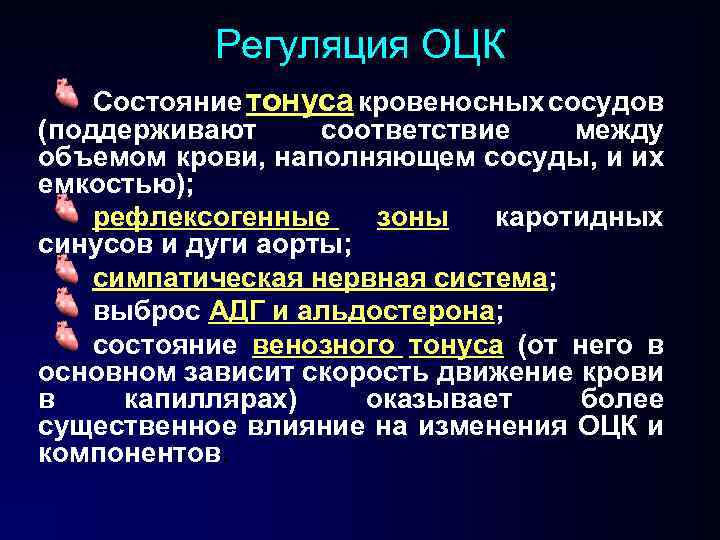 Регуляция ОЦК Состояние тонуса кровеносных сосудов (поддерживают соответствие между объемом крови, наполняющем сосуды, и