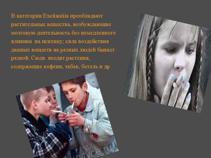 В категории Excitanitia преобладают растительные вещества, возбуждающие мозговую деятельность без немедленного влияния на психику;