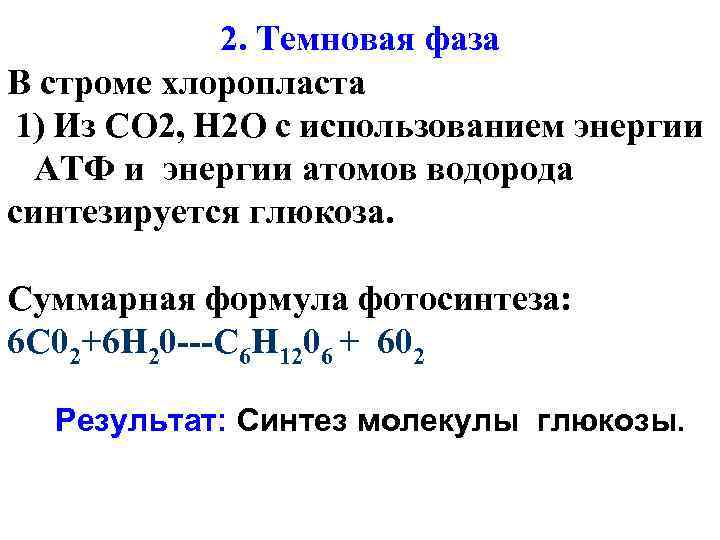 2. Темновая фаза В строме хлоропласта 1) Из СО 2, Н 2 О с