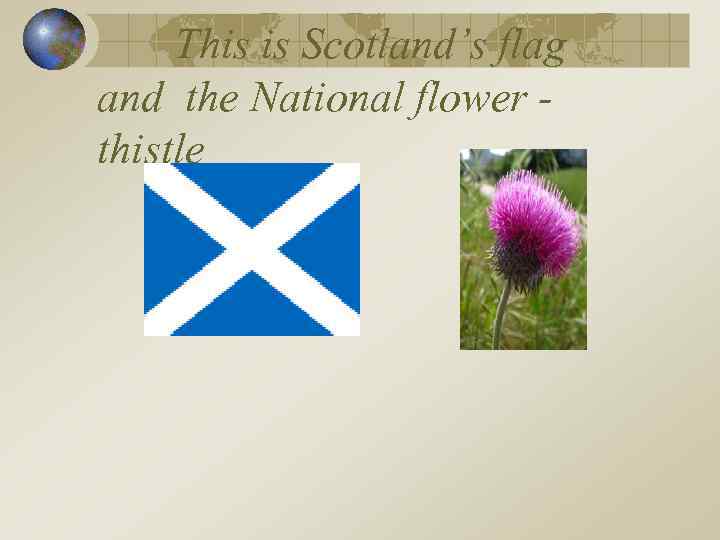 This is Scotland’s flag and the National flower thistle 