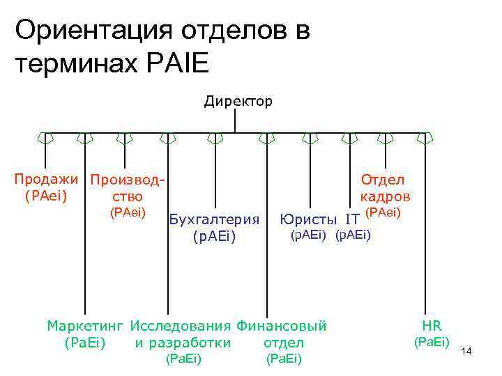 Ориентация отделов в терминах PAIE Директор Продажи Производ(PAei) ство (PAei) Отдел кадров Бухгалтерия (p.