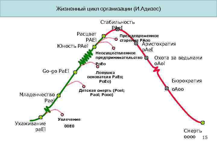 Жизненный цикл организации картинки