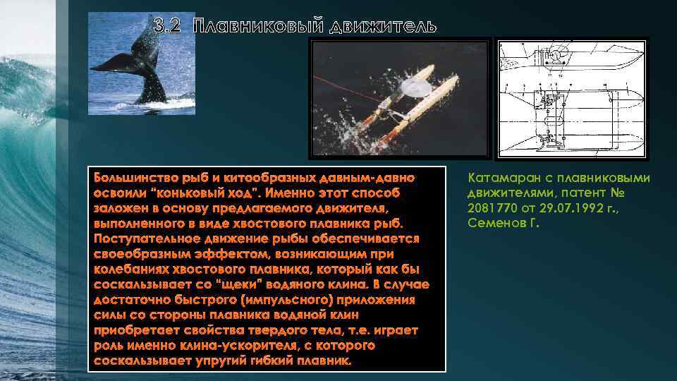 3. 2 Плавниковый движитель Большинство рыб и китообразных давным-давно освоили “коньковый ход”. Именно этот