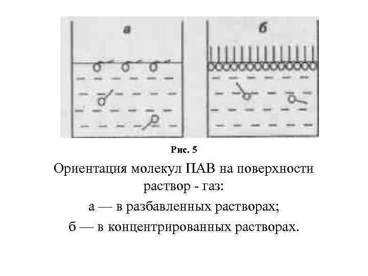Рис. 5 Ориентация молекул ПАВ на поверхности раствор газ: а — в разбавленных растворах;