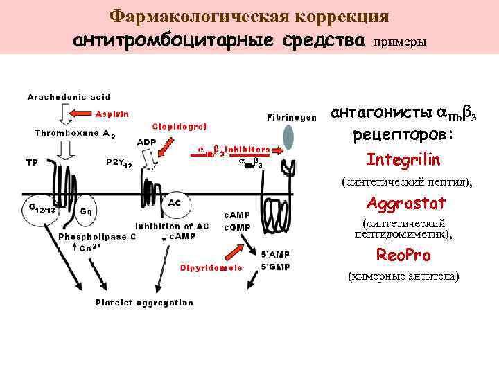 Фармакологическая коррекция антитромбоцитарные средства примеры антагонисты a. IIbb 3 рецепторов: Integrilin (синтетический пептид), Aggrastat