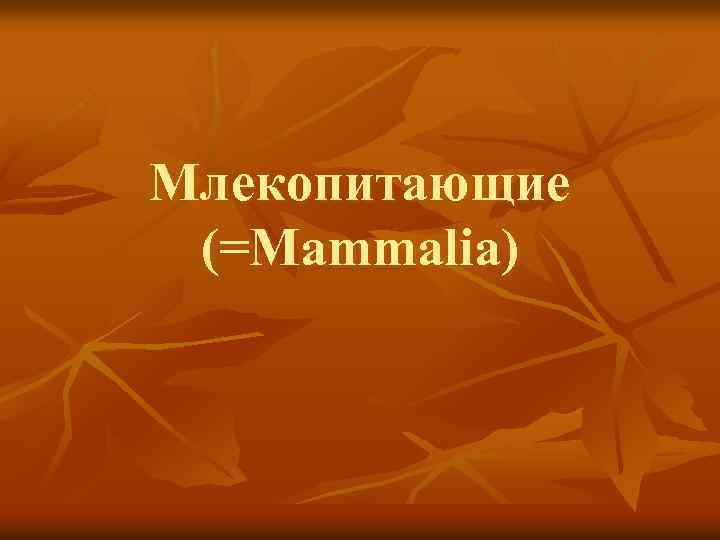 Млекопитающие (=Mammalia) 