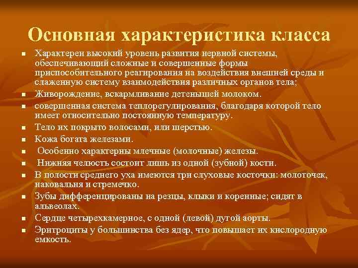 Основная характеристика класса n n n Характерен высокий уровень развития нервной системы, обеспечивающий сложные