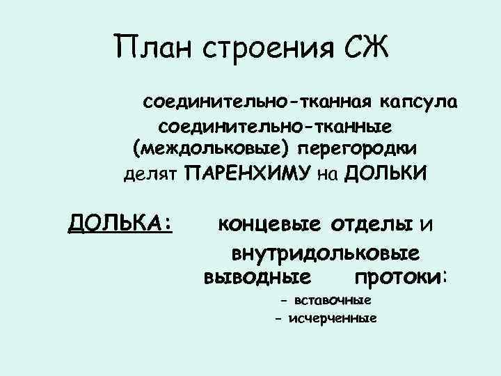 План строения СЖ соединительно-тканная капсула соединительно-тканные (междольковые) перегородки делят ПАРЕНХИМУ на ДОЛЬКИ ДОЛЬКА: концевые