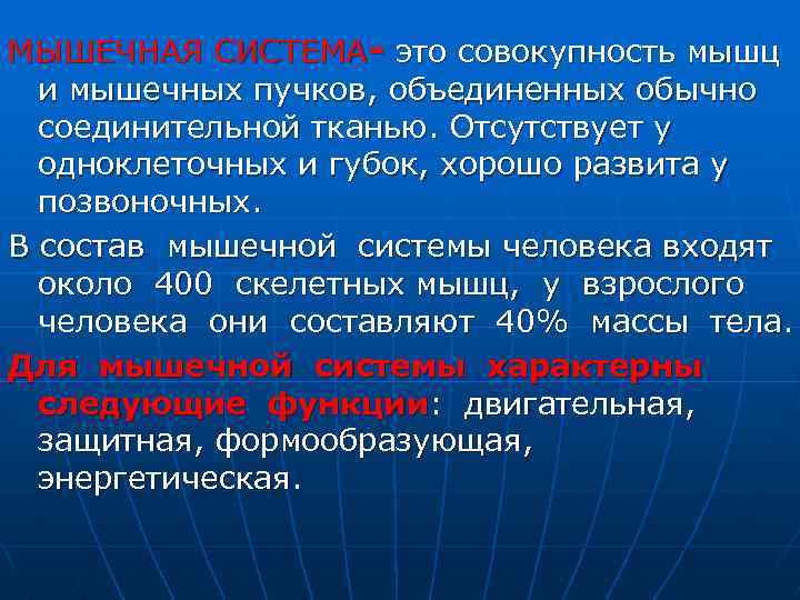 МЫШЕЧНАЯ СИСТЕМА- это совокупность мышц и мышечных пучков, объединенных обычно соединительной тканью. Отсутствует у