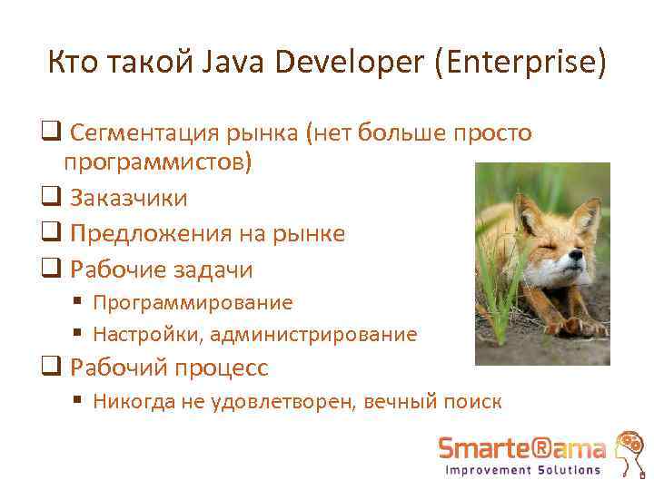 Кто такой Java Developer (Enterprise) q Сегментация рынка (нет больше просто программистов) q Заказчики