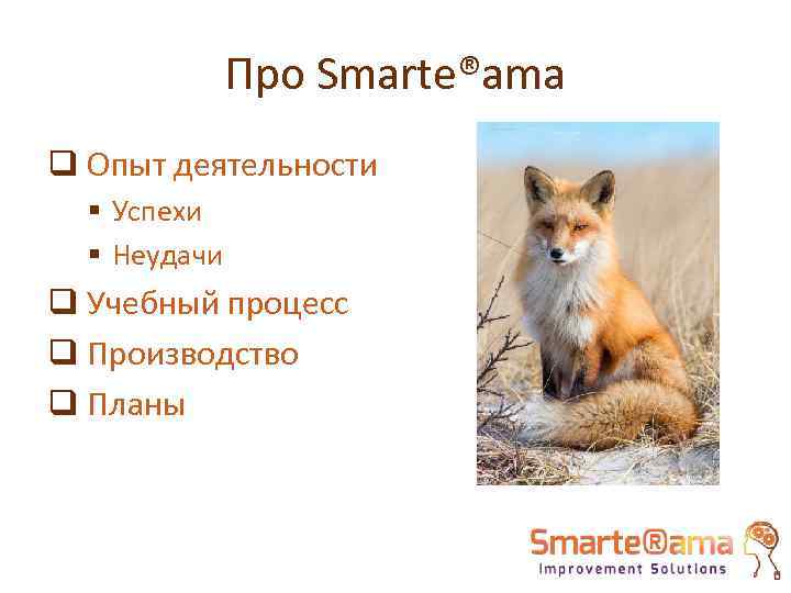 Про Smarte®ama q Опыт деятельности § Успехи § Неудачи q Учебный процесс q Производство