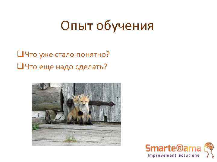 Опыт обучения q Что уже стало понятно? q Что еще надо сделать? 
