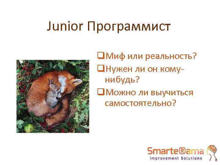Junior Программист q. Миф или реальность? q. Нужен ли он комунибудь? q. Можно ли