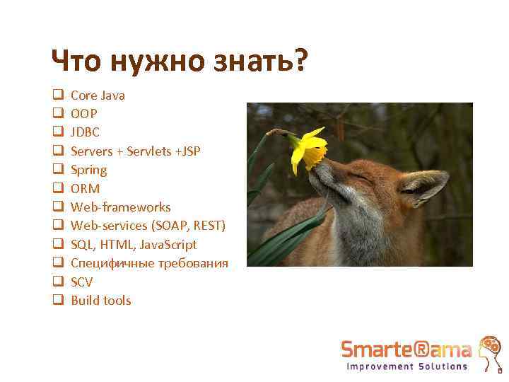 Что нужно знать? q q q Core Java OOP JDBC Servers + Servlets +JSP