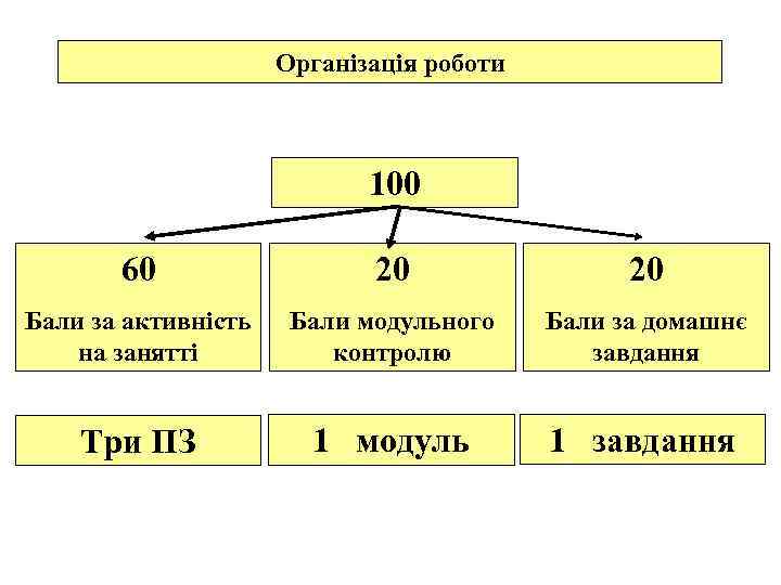 Організація роботи 100 60 20 20 Бали за активність на занятті Бали модульного контролю