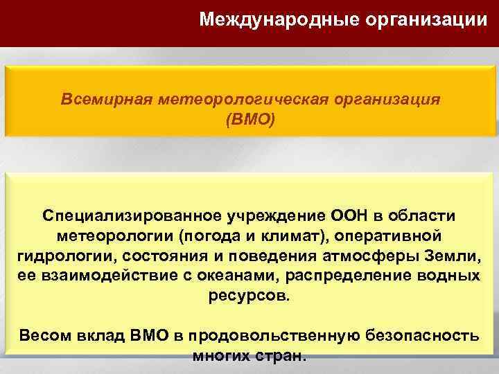 Международные организации Всемирная метеорологическая организация (ВМО) Специализированное учреждение ООН в области метеорологии (погода и