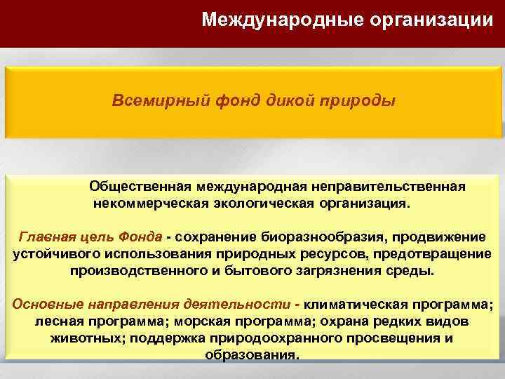 Международные организации Всемирный фонд дикой природы Общественная международная неправительственная некоммерческая экологическая организация. Главная цель