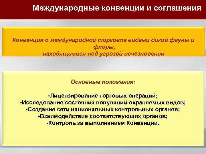 Международные конвенции и соглашения Конвенция о международной торговле видами дикой фауны и флоры, находящимися